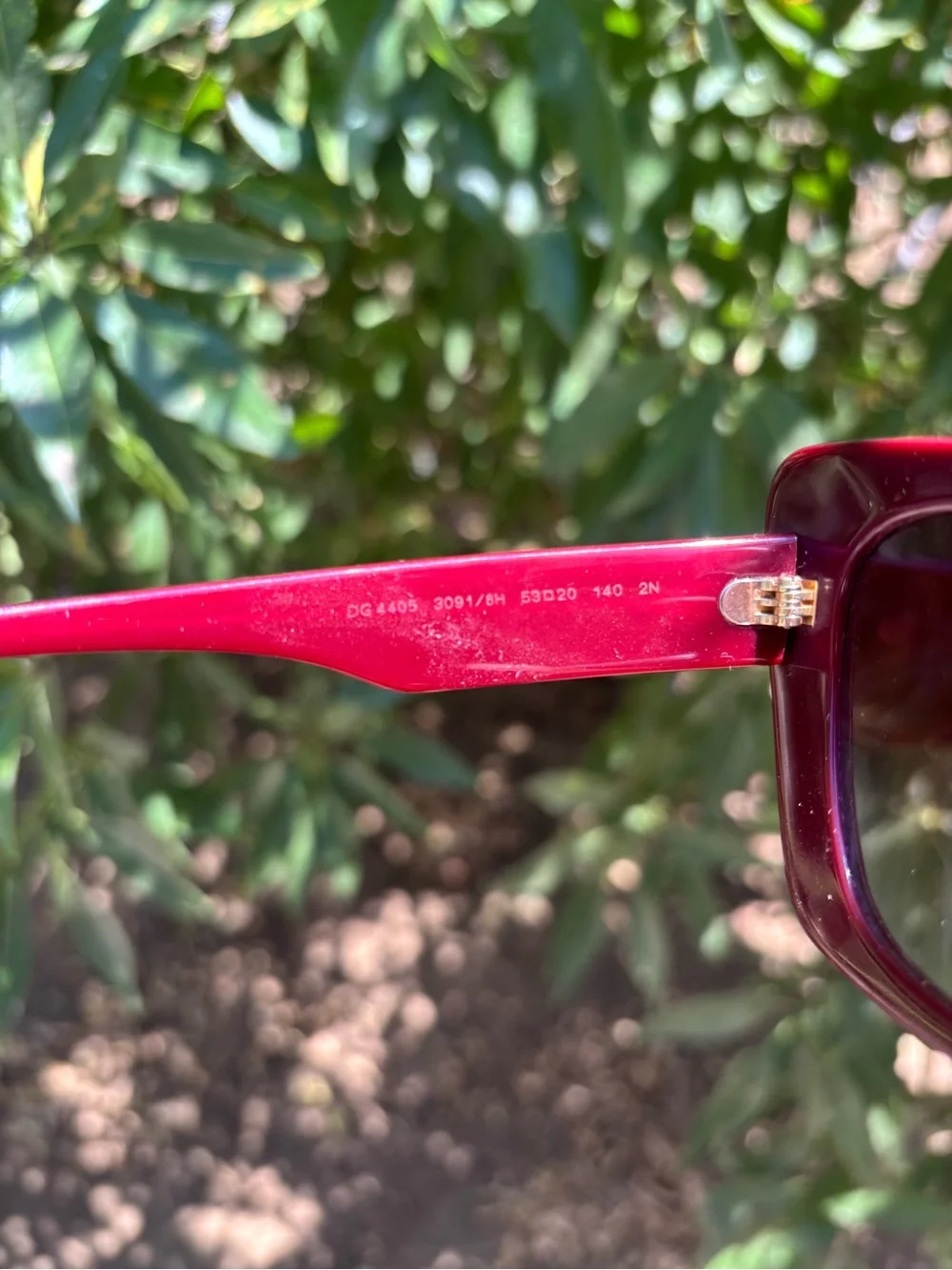 DOLCE GABBANA Burgundy Cat-Eye Sunglasses